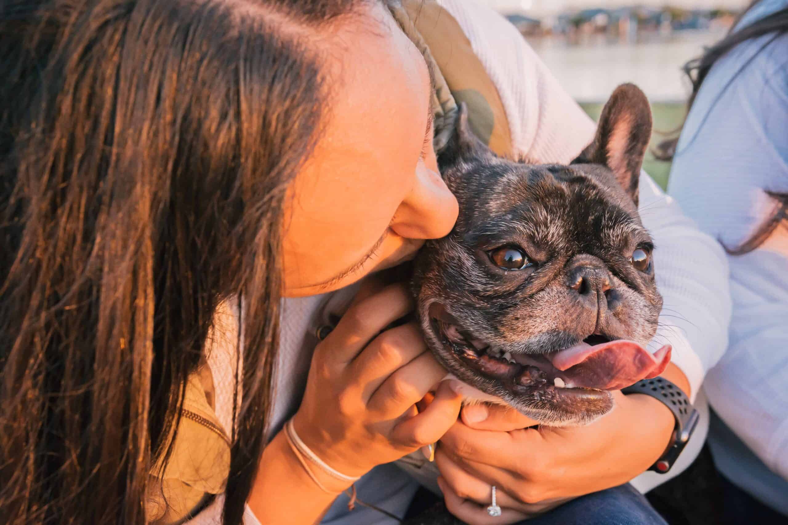 Dog Names That Start With R Male