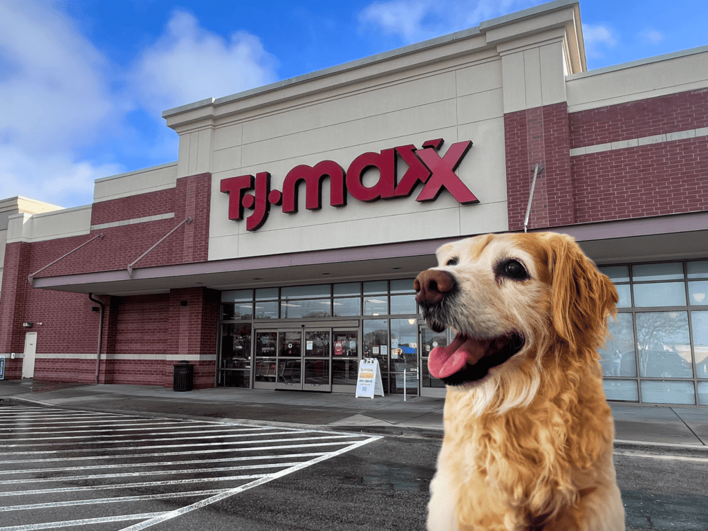 Tj Maxx Policy On Dogs At Andrew Knight Blog