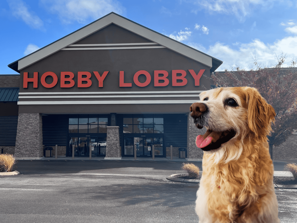 Is Hobby Lobby Pet Friendly? Everything you need to know.