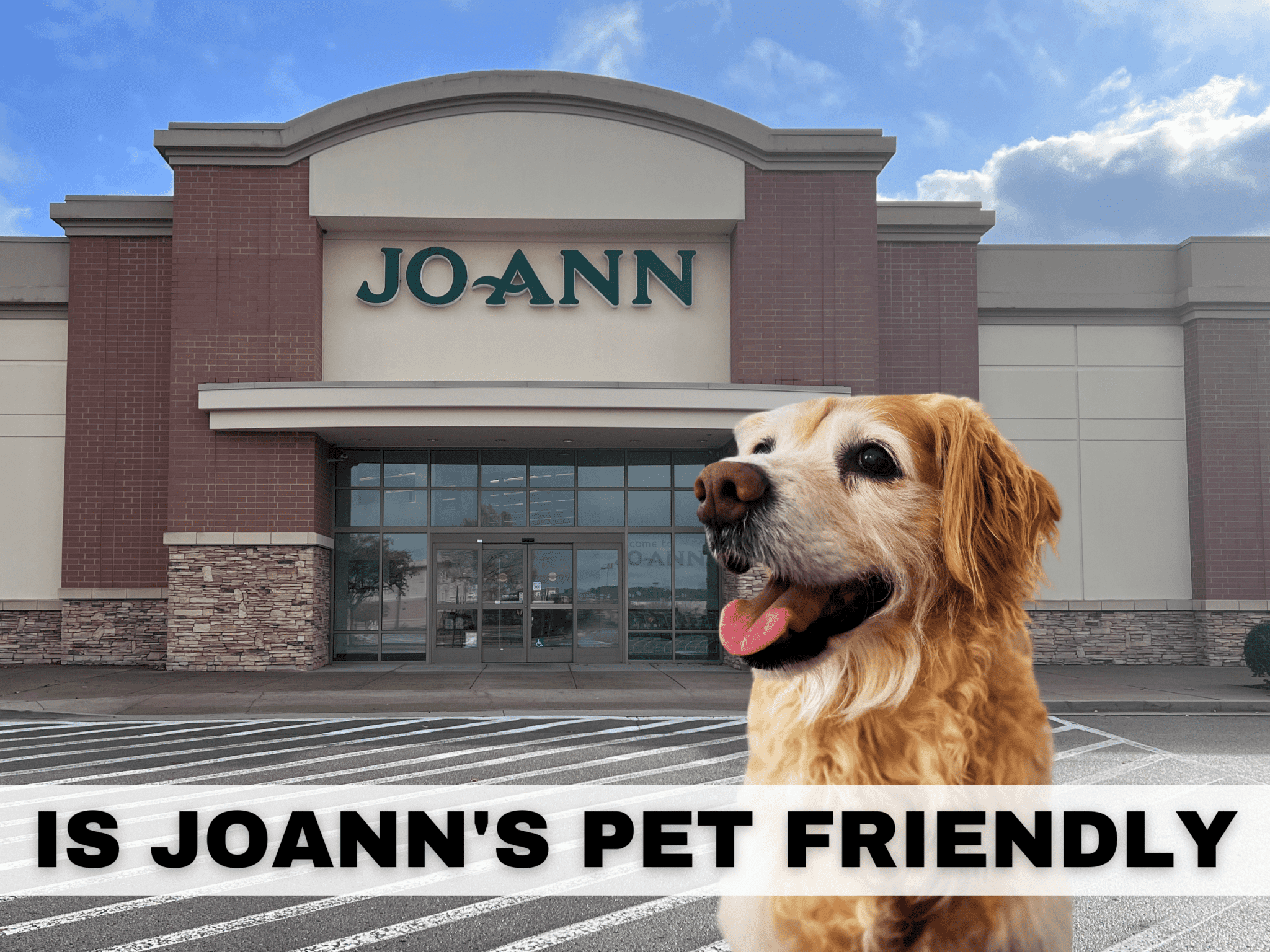 is-joann-s-pet-friendly-all-you-need-to-know-about-joann-fabrics-pet