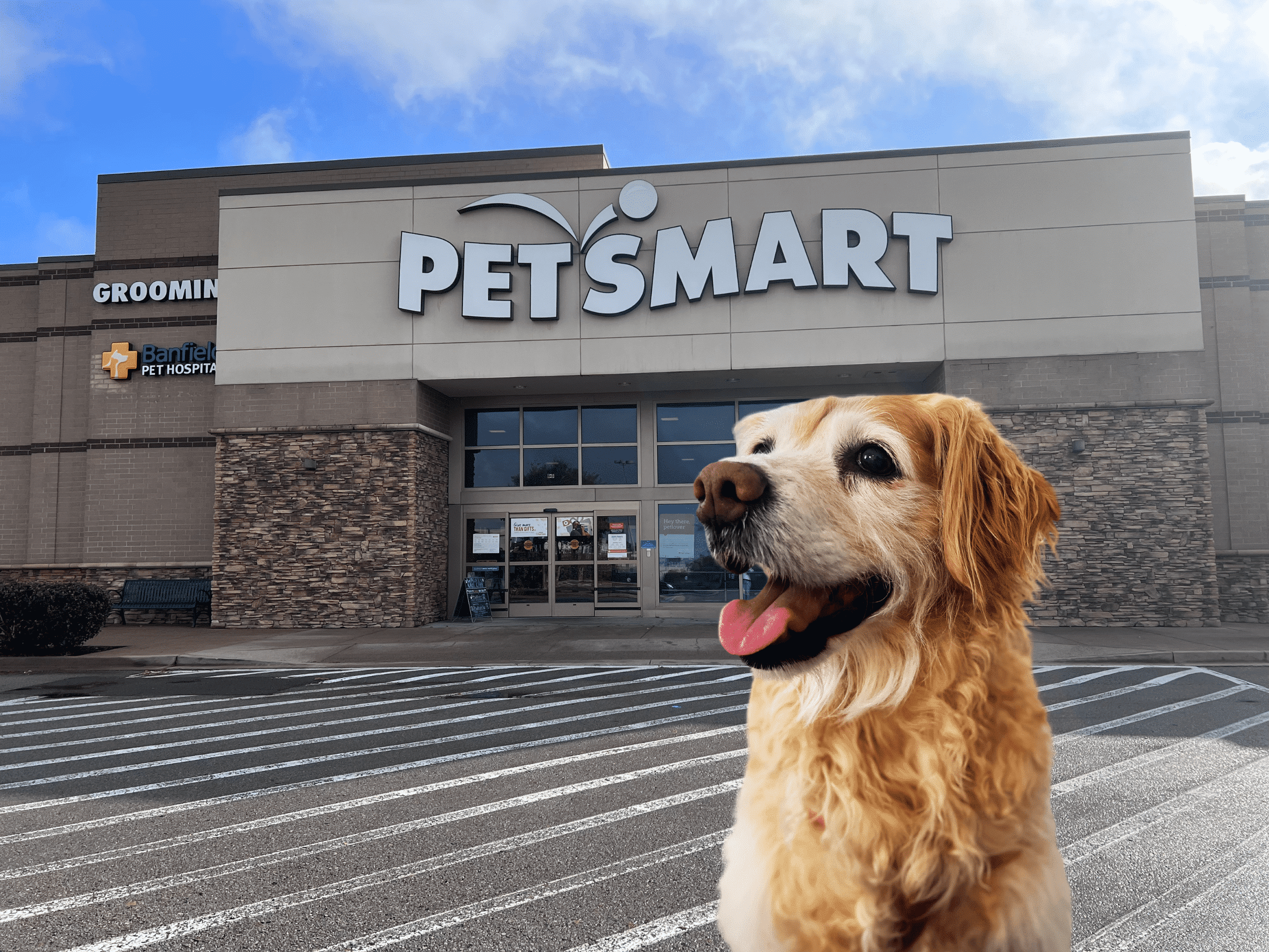 Are Dogs Allowed in PetSmart?