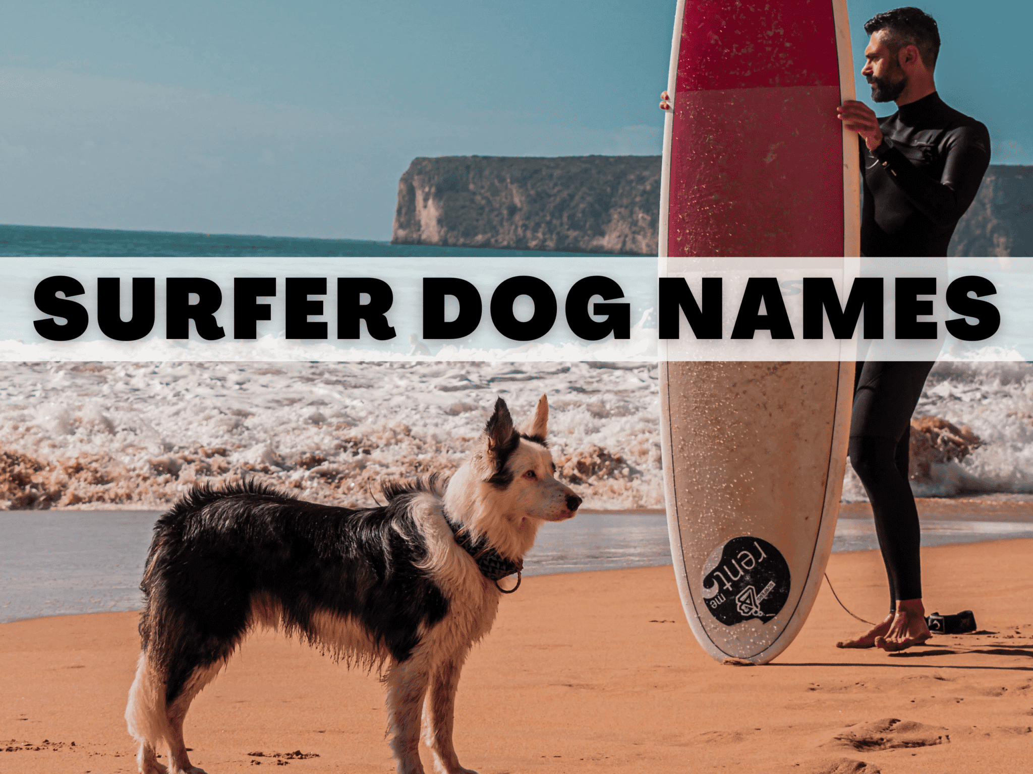 Sand + Water + Sun = 100+ Unique Surfer Dog Names