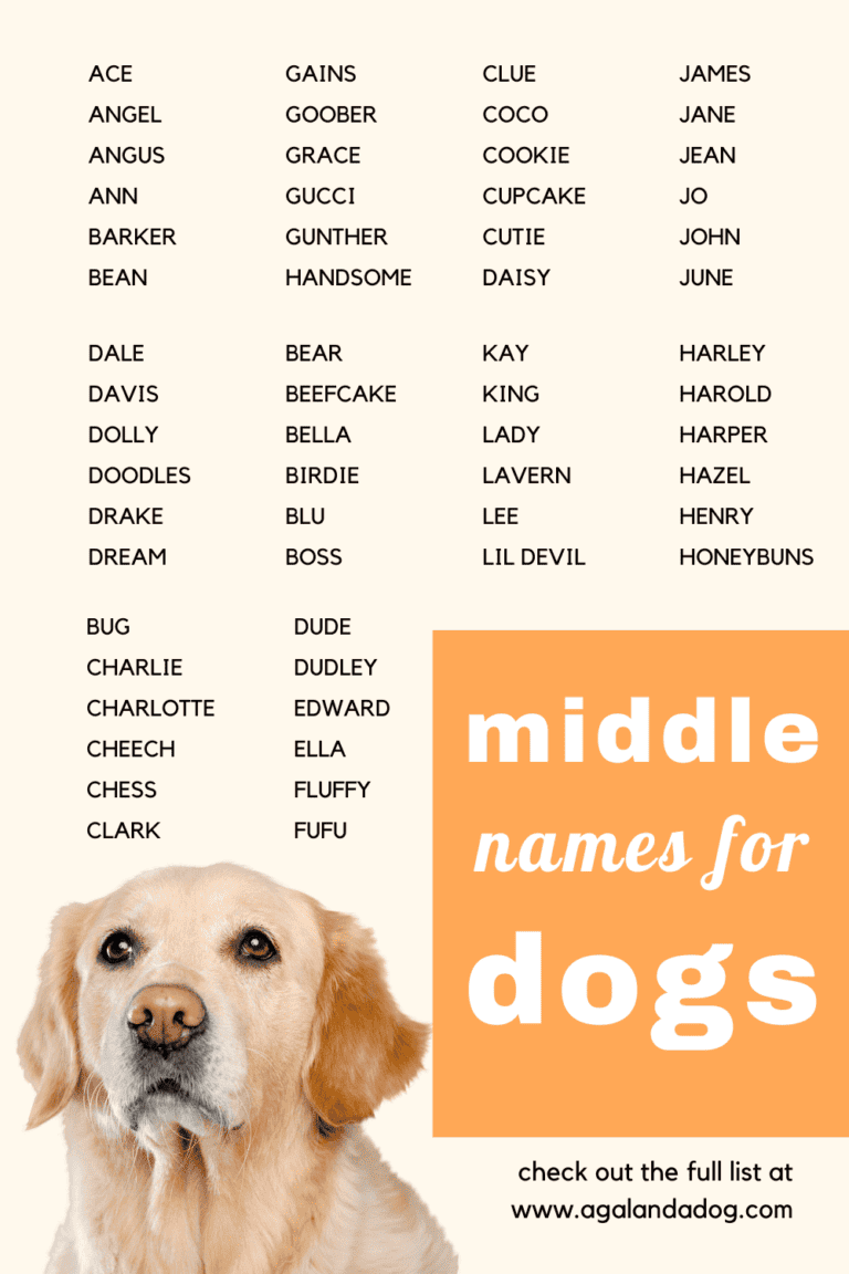 102 Creative Middle Names For Dogs (Boy & Girl) - A Gal + A Dog